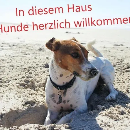 Camping Regenbogen